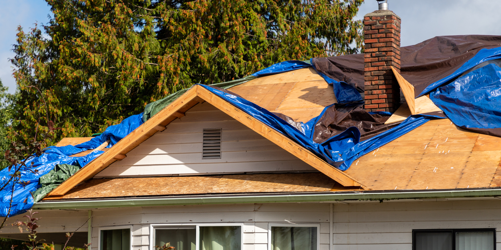 Tarp covering roof