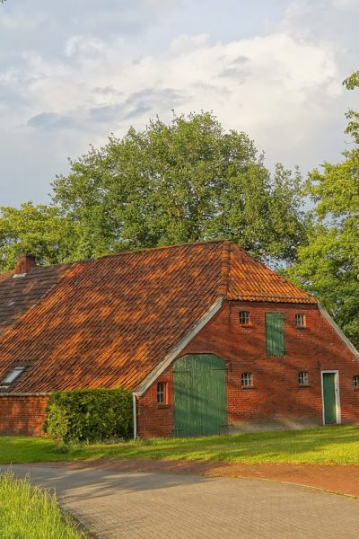 roofing services for homeowners in Forest City